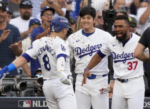 Sunflower Seeds Dodgers